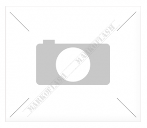 Large_A10_ApusStyl_600Ws_4